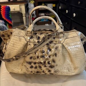 Brahmin Large Faye in Tortoise